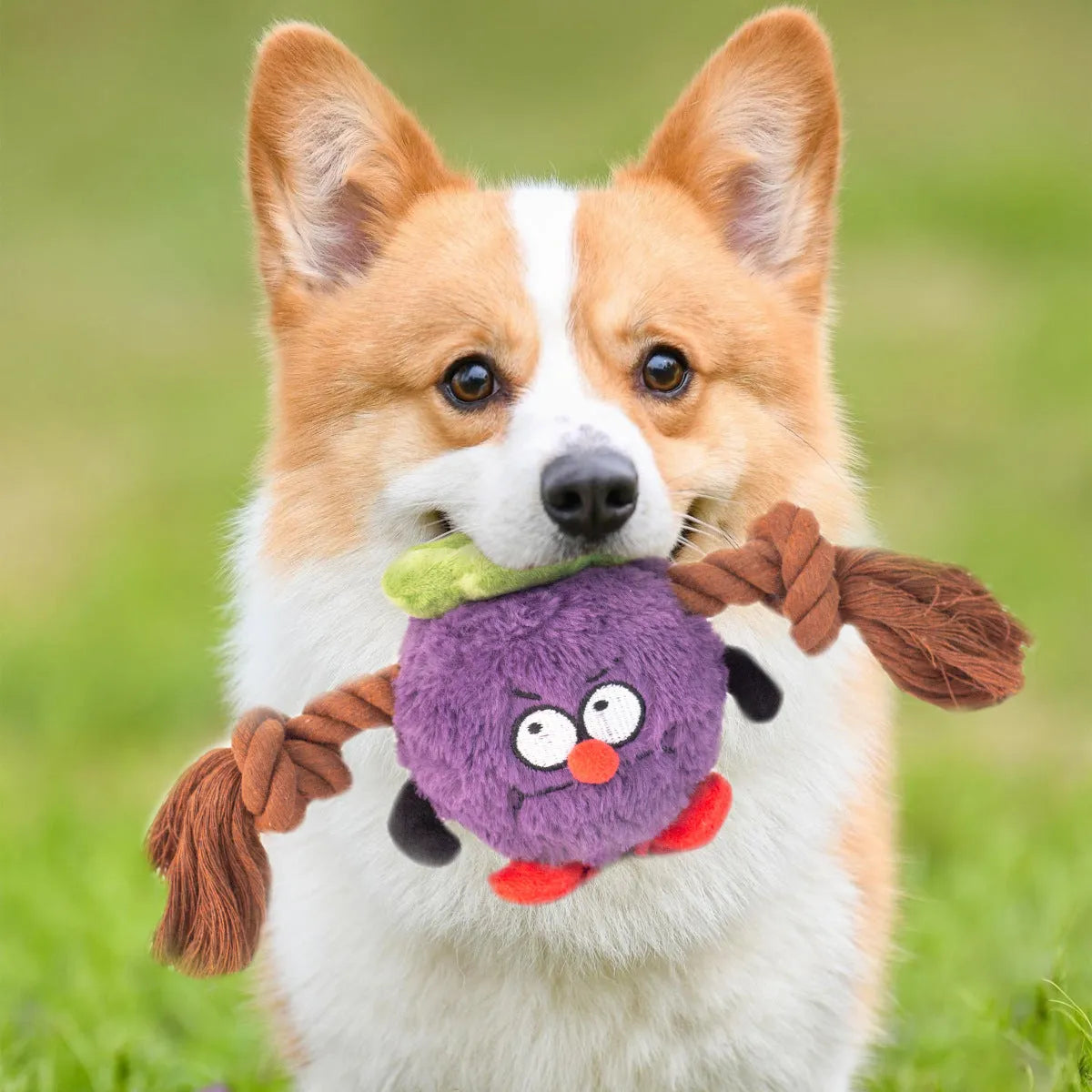 Green and purple plush rope knot dog toy for tug of war and dental care.