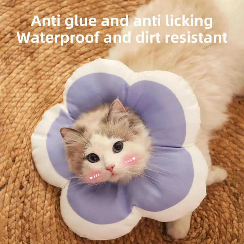 Blue cotton cat recovery collar with a solar flower decoration, shown fastened around a cat's neck.