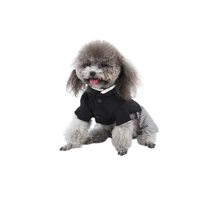 Cotton poodle dog clothes in skirt and four-legged pants styles for spring and autumn seasons