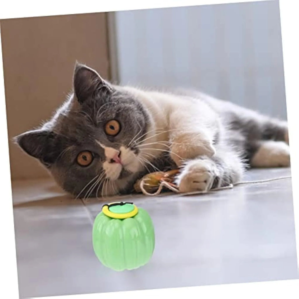 Plastic pumpkin-shaped dog chew ball with squeaker for small dogs in orange colour