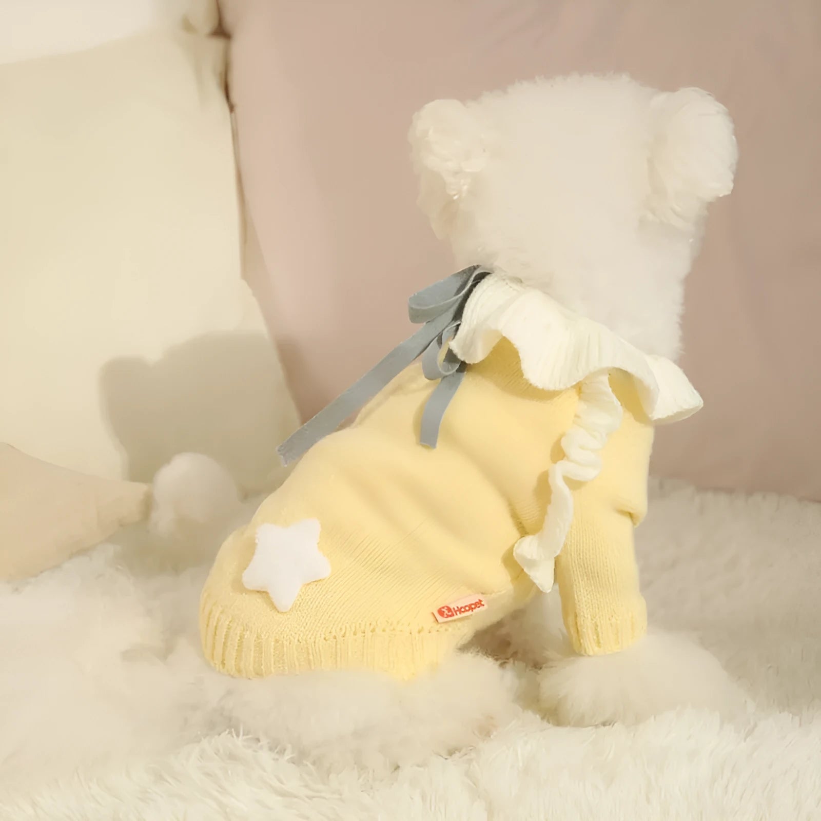 Small dog wearing autumn sweater in yellow XINGX design with size options from XS to XL