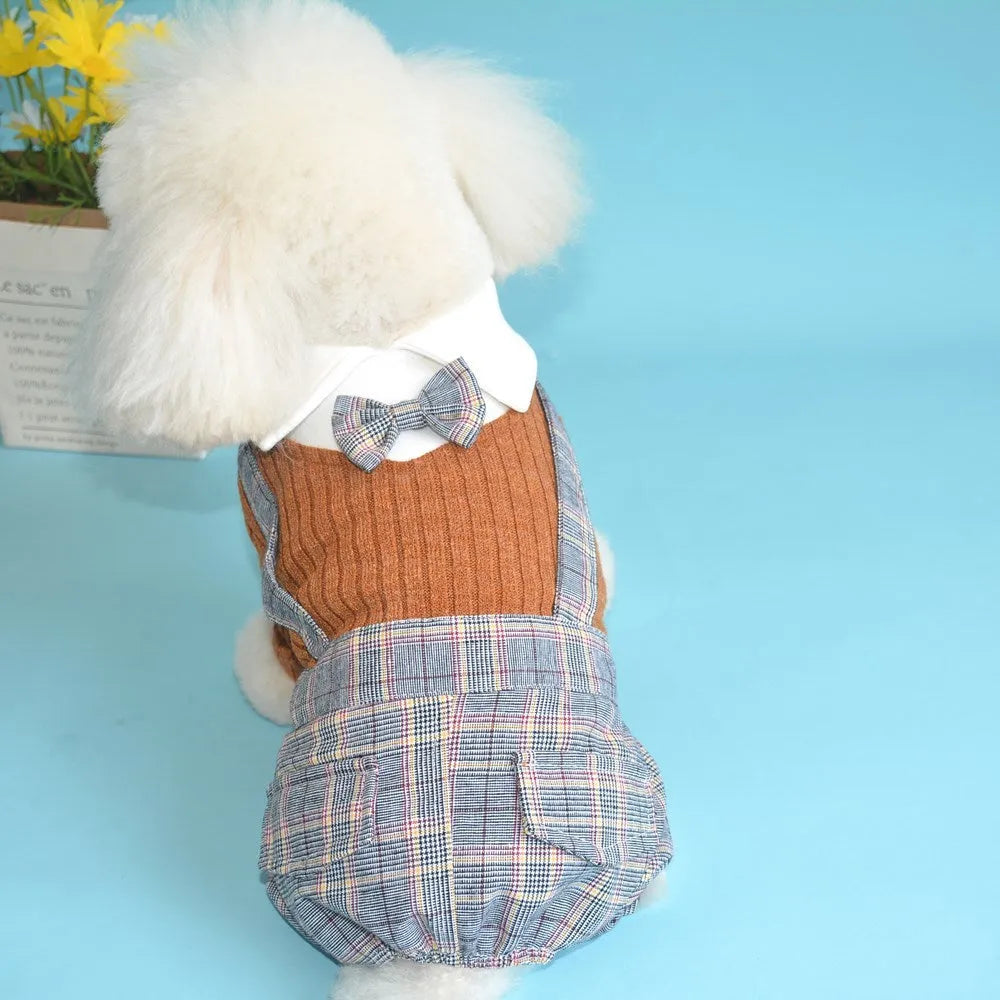 Orange and dark blue cotton dog shirt for small breeds showing front view
