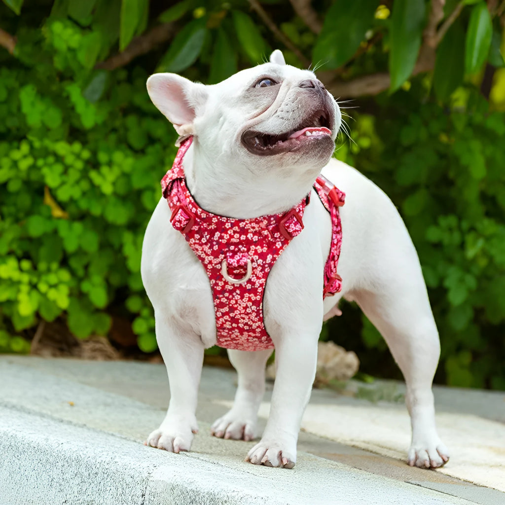 Floral pattern dog chest harness with pull-resistant strap in pure cotton material