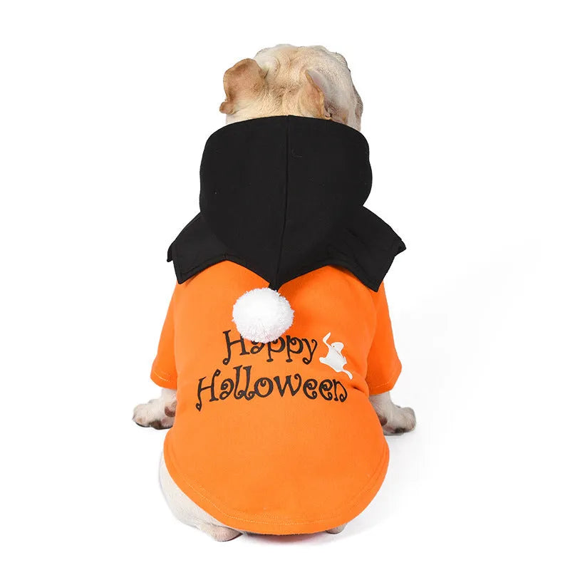 Halloween pumpkin costume on dog showing black and orange cotton sweater with matching shawl