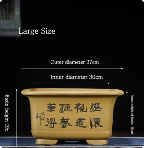Large Chinese-style purple clay flower pot for indoor bonsai and plants.