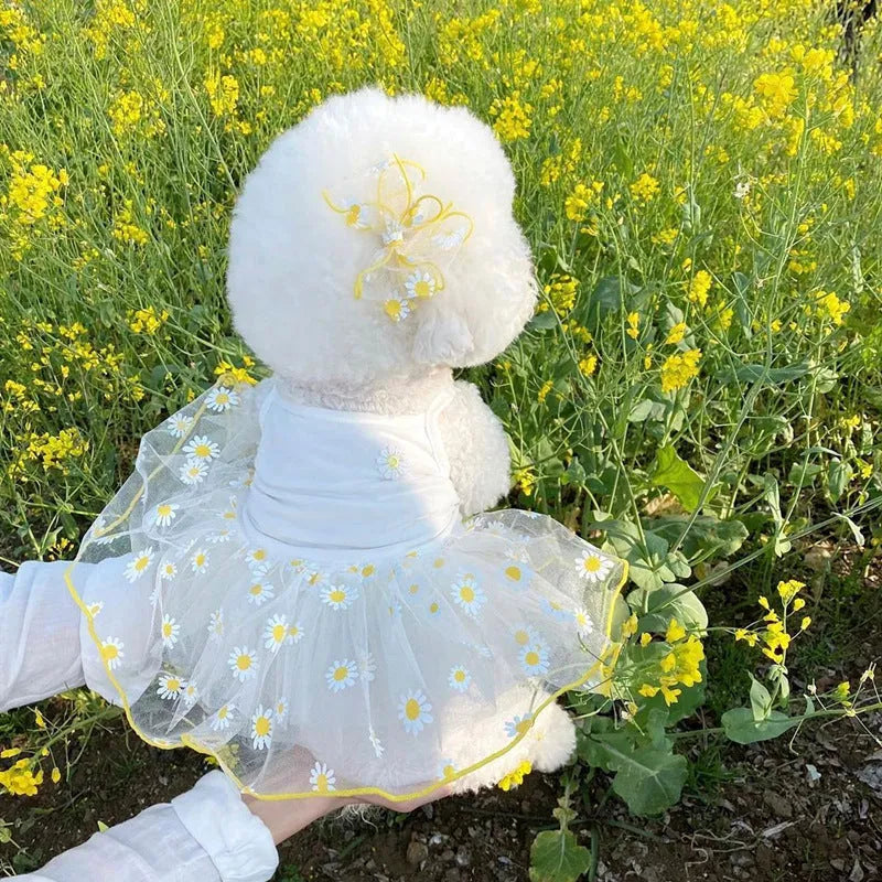 Yellow daisy print mesh dog summer clothes for small to extra large dogs