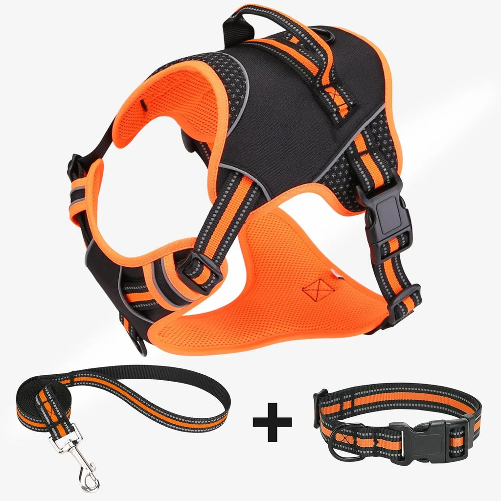 Yellow or orange polyester dog harness with traction strap for outdoor pet training