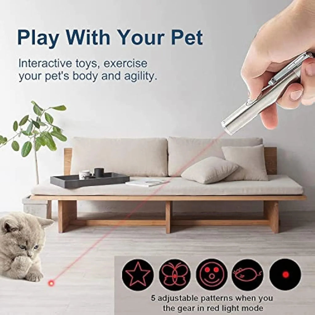 Silver aluminium cat laser toy pointer with USB charging port and pattern projection modes.