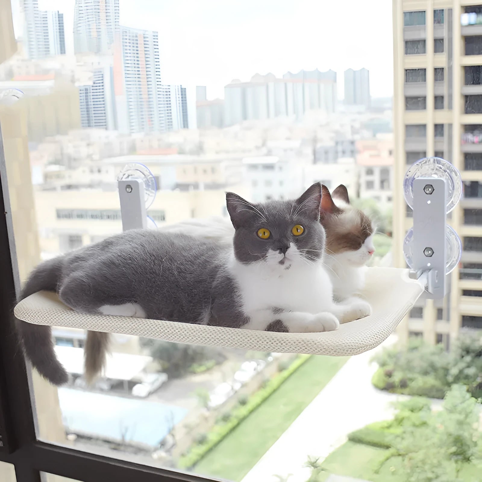 Cat resting on a suction cup window hammock made of plush fabric and steel in beige colour