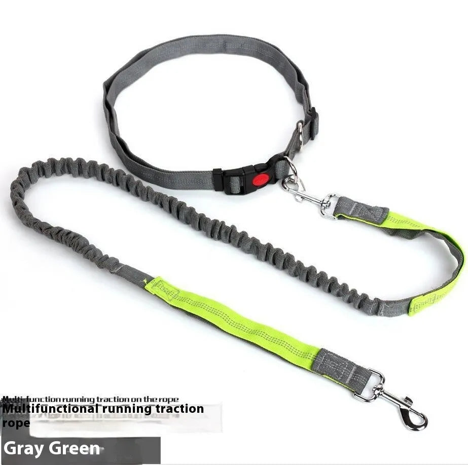 Reflective dog leash with elastic sling in two-tone colours for night walking