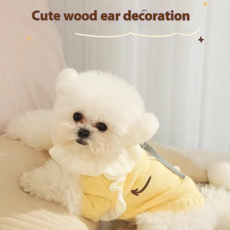 Small dog wearing autumn sweater in yellow XINGX design with size options from XS to XL
