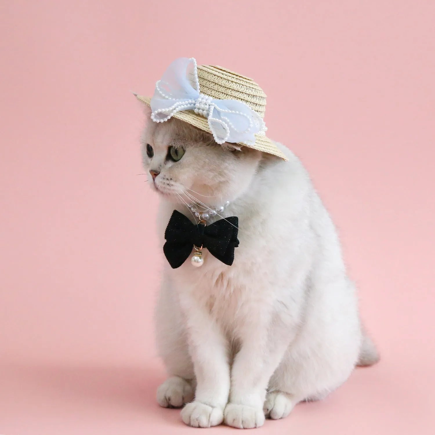 Woven straw hat for a cat with a large central pearl bow, available in blue, pink, purple, and white.