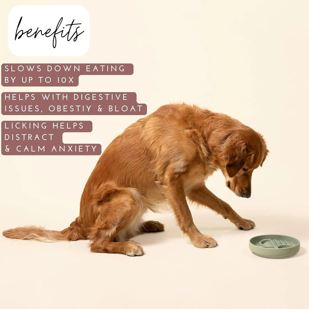 Silicone slow feeder dog bowl with textured ridges, shown in beige colour