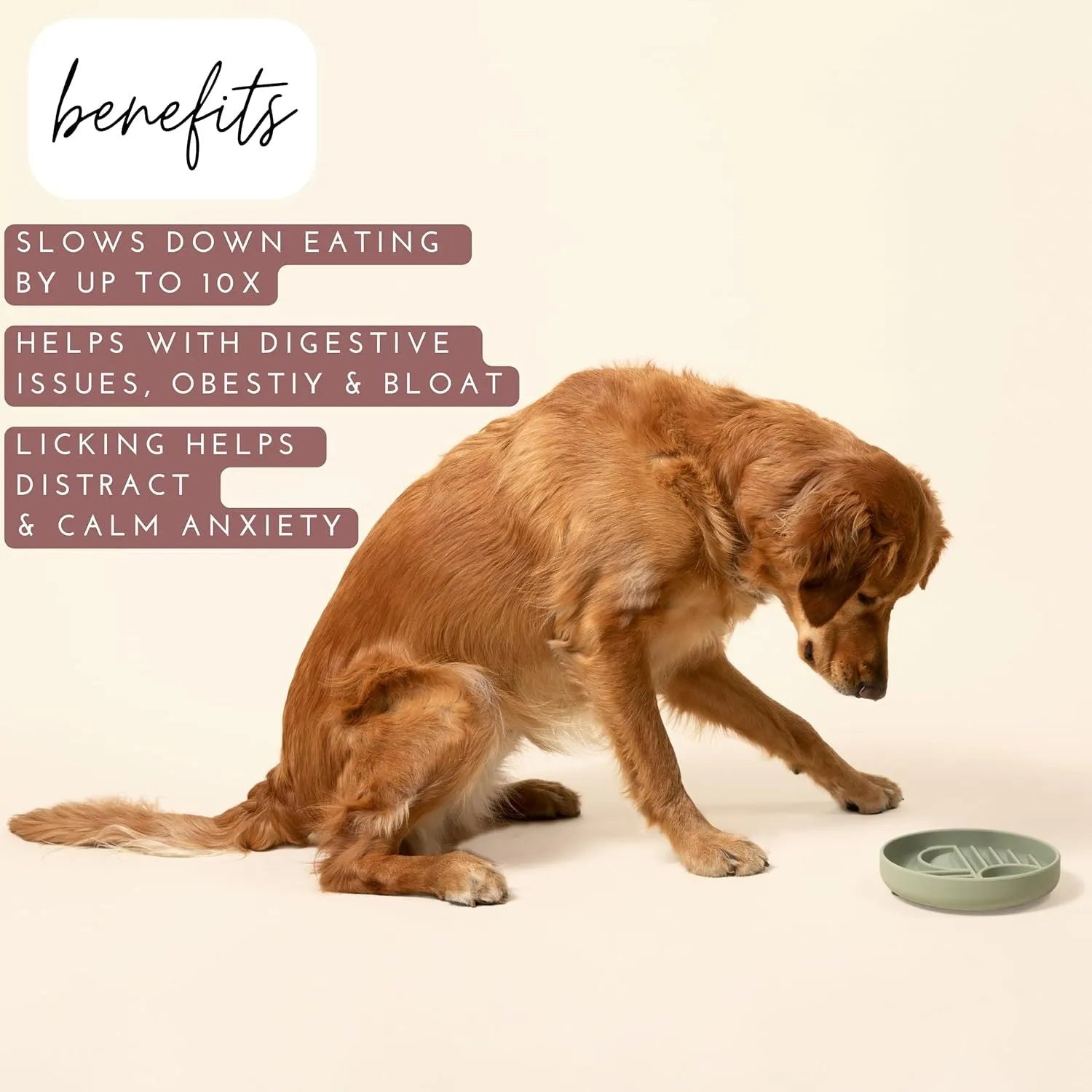Silicone slow feeder dog bowl with textured ridges, shown in beige colour