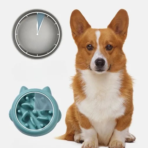 Green pet slow feeder bowl with bone-shaped ridges inside to slow down eating