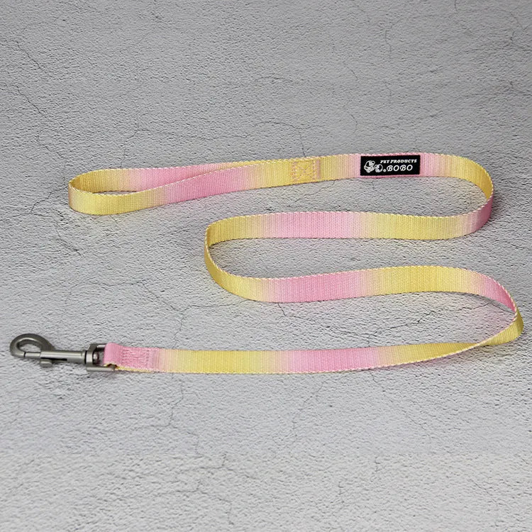 Nylon dog leash and harness set in pink and blue gradient colour, showing collar, leash, and chest strap components.