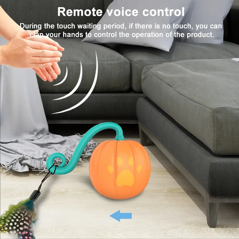 Electric cat toy ball with LED lights showing watermelon cat design and automatic bouncing movement