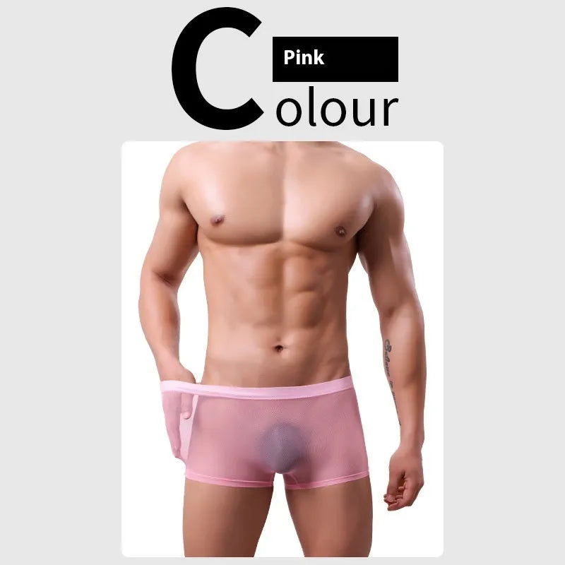 Men's mesh boxer briefs with sheer thin fabric and low waist design in multiple colours