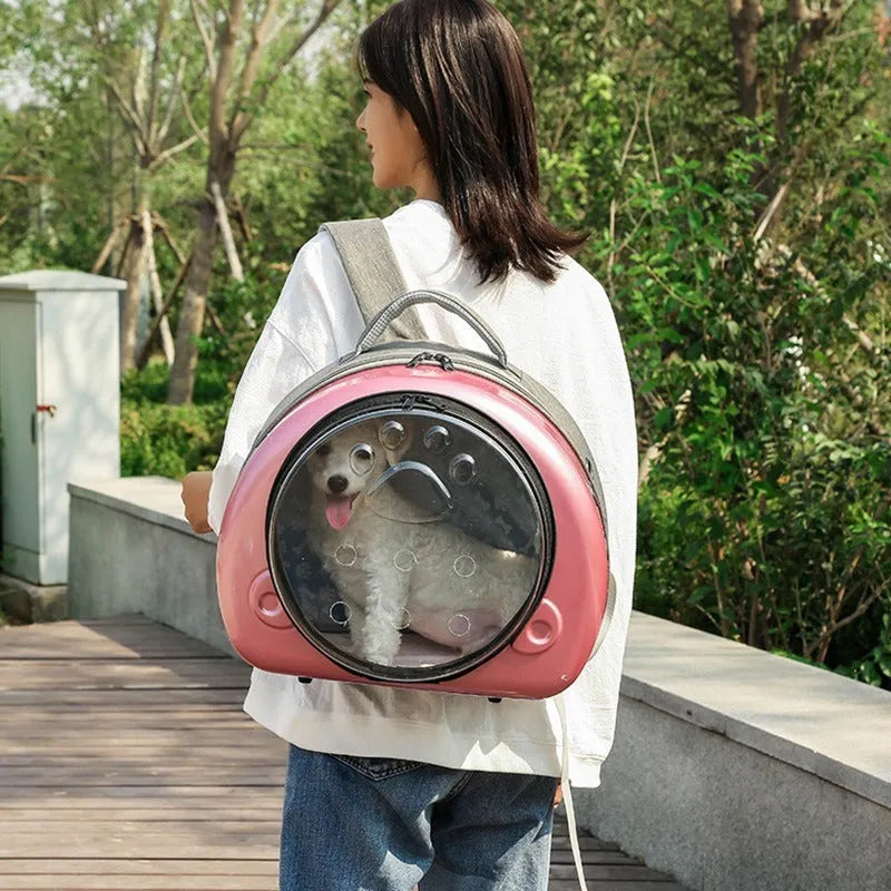 Transparent space capsule style cat carrier bag with breathable design and rose gold front cover.