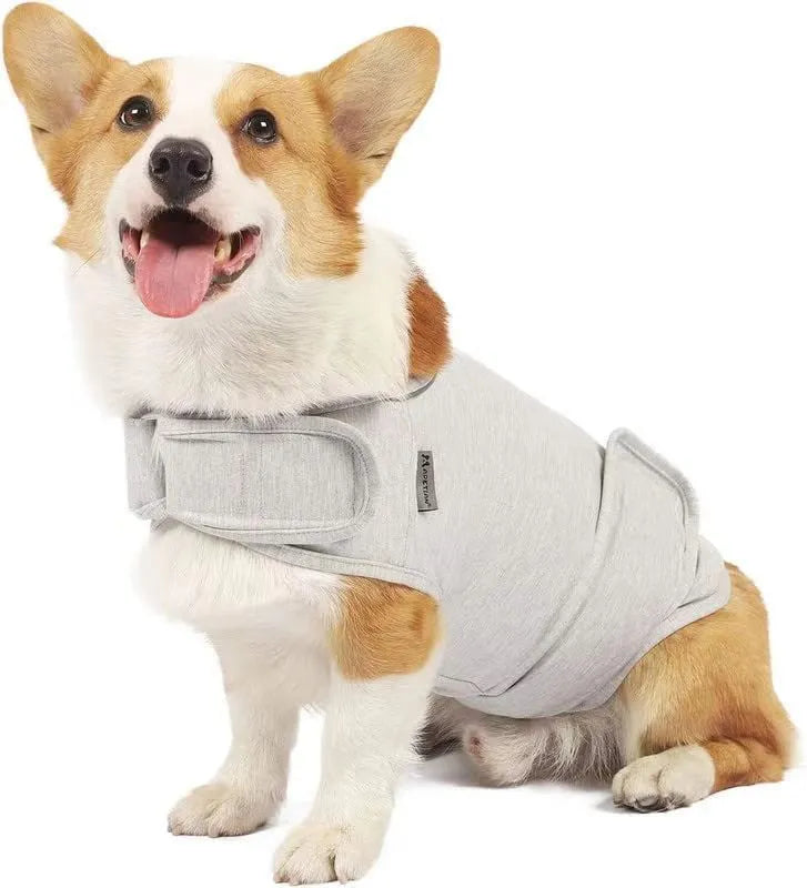 Dog wearing brocade cotton calming tank top in light grey colour for anxiety relief