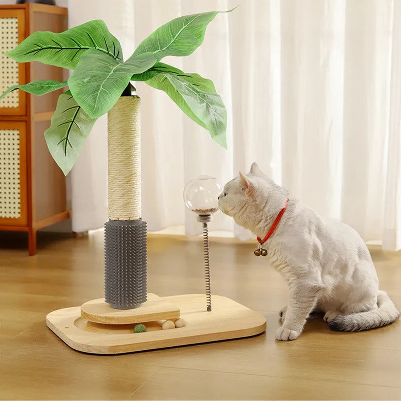 Wooden cat scratching post with canna colour finish and chamfered edges, includes food drop ball toy