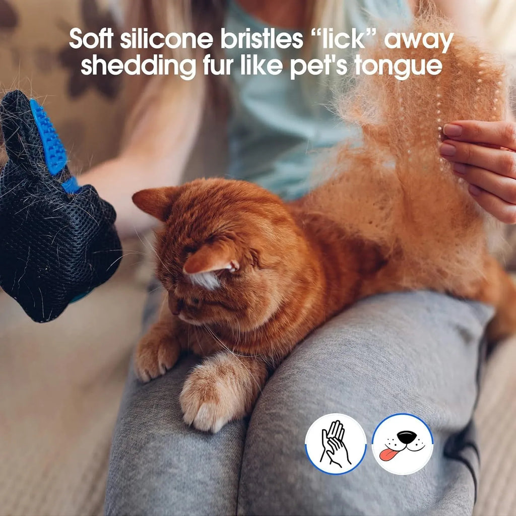 Blue pet grooming gloves with silicone tips for dog and cat hair removal and massage