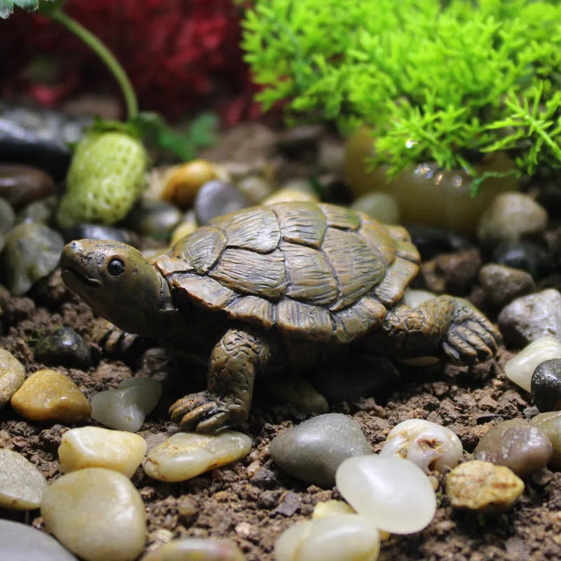 Realistic little turtle resin ornament for micro landscape and garden decoration