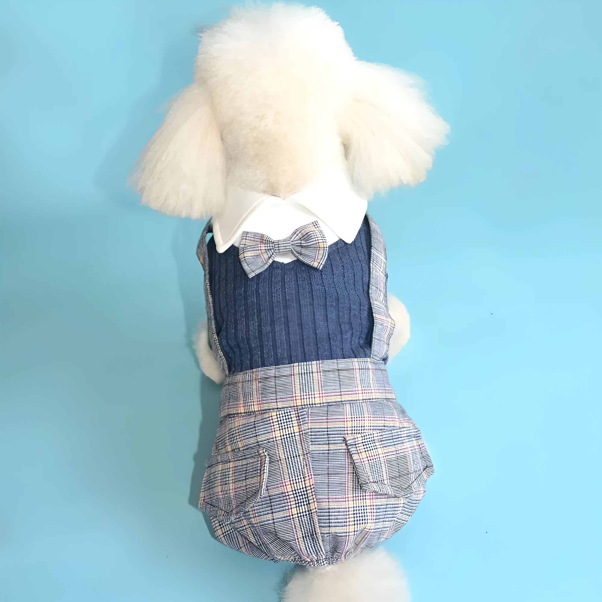 Orange and dark blue cotton dog shirt for small breeds showing front view