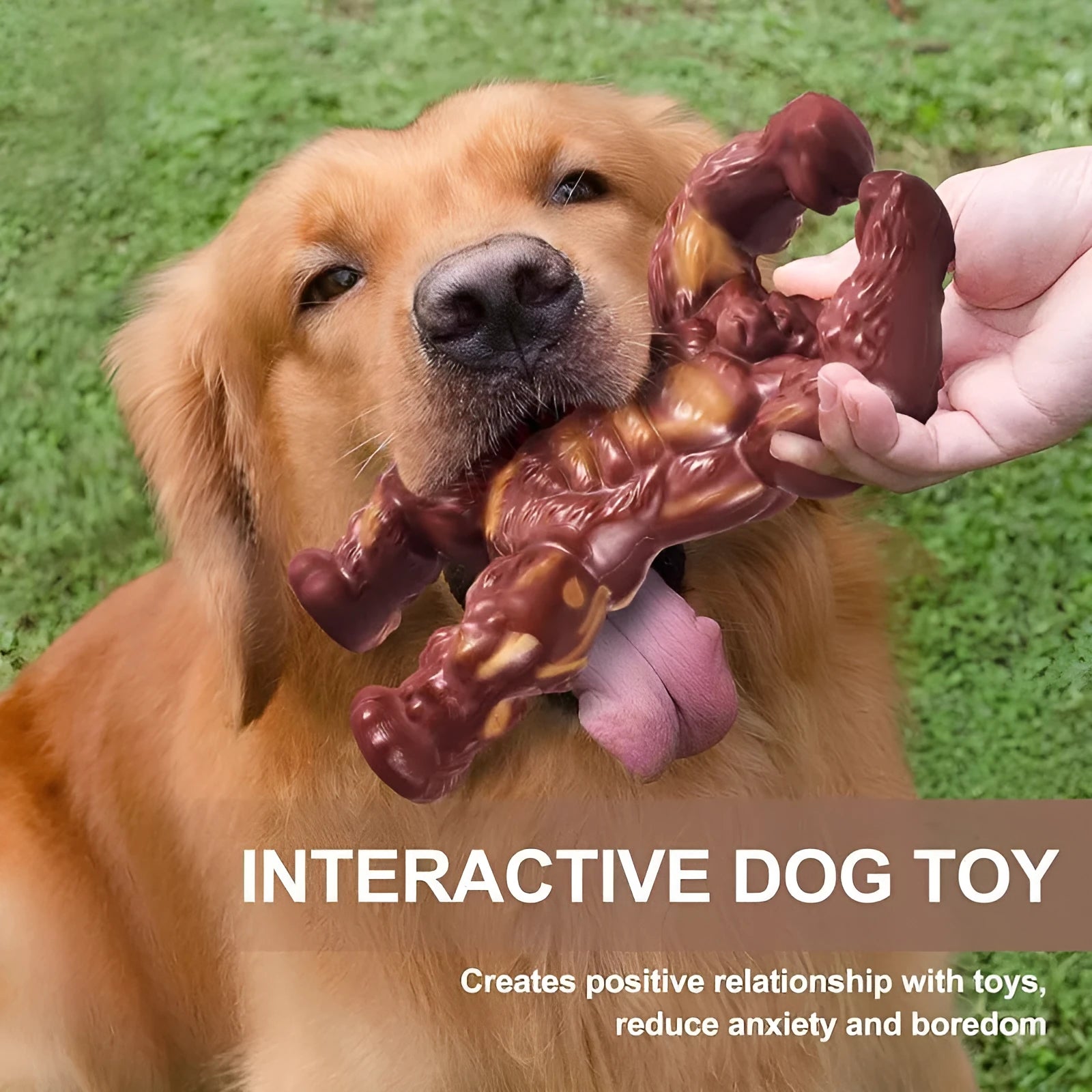 Scarlet beef flavour nylon dog chew toy for molar cleaning, size 10.7x17.2x5cm.