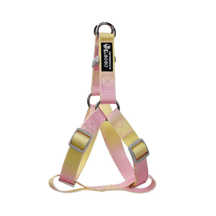 Nylon dog leash and harness set in pink and blue gradient colour, showing collar, leash, and chest strap components.