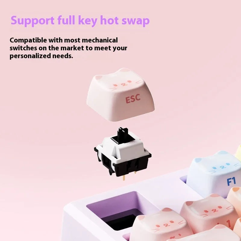 Coloured sugar cat mechanical keyboard with MG108B colour scheme and Bluetooth connectivity