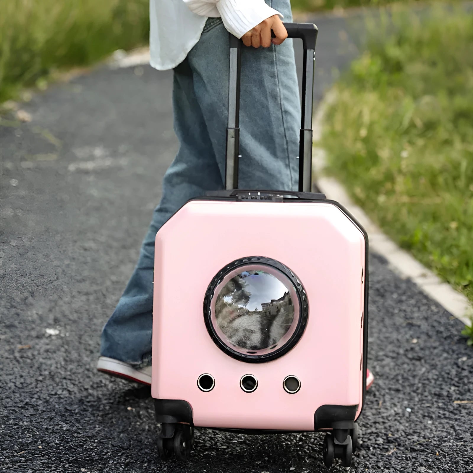Hard PVC pet trolley case in pink, wine red, white or orange with luggage compartment