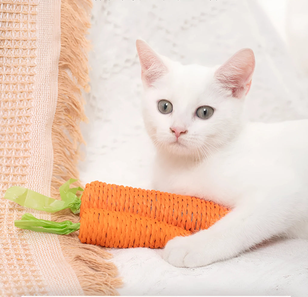 Interactive cat toys set with carrot-shaped paper toys, ringing stones, cat sticks, and dental grinding sticks
