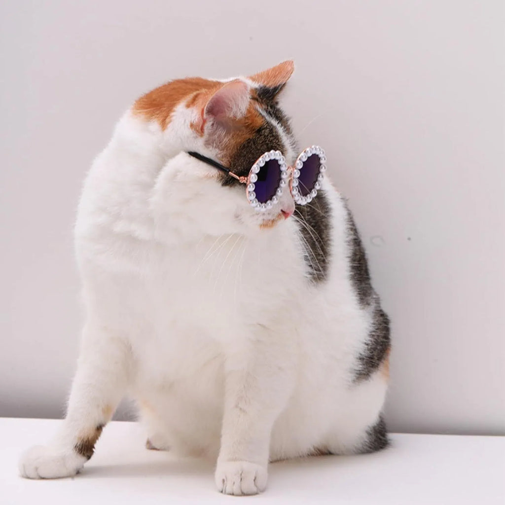 Pearl-rimmed round sunglasses for cats and dogs in multiple colours on a pink background.