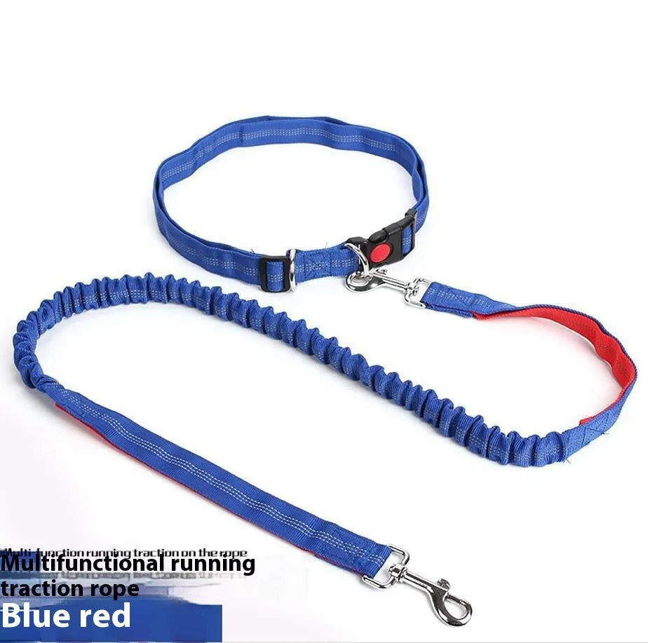 Reflective dog leash with elastic sling in two-tone colours for night walking
