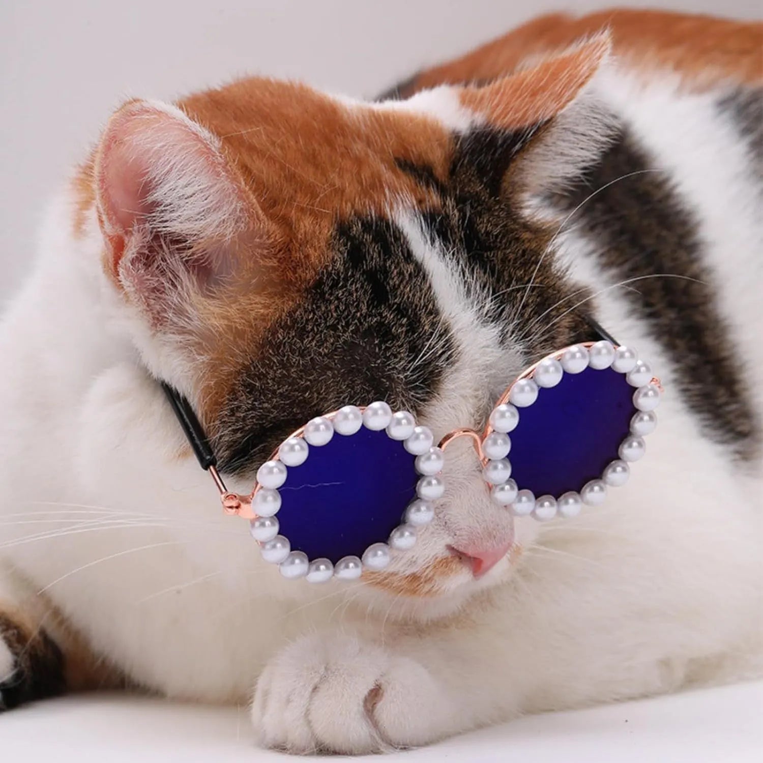 Pearl-rimmed round sunglasses for cats and dogs in multiple colours on a pink background.