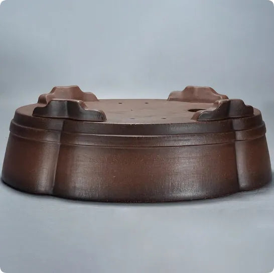 Green classical purple clay bonsai pot with low-profile rectangular shape on a tabletop.
