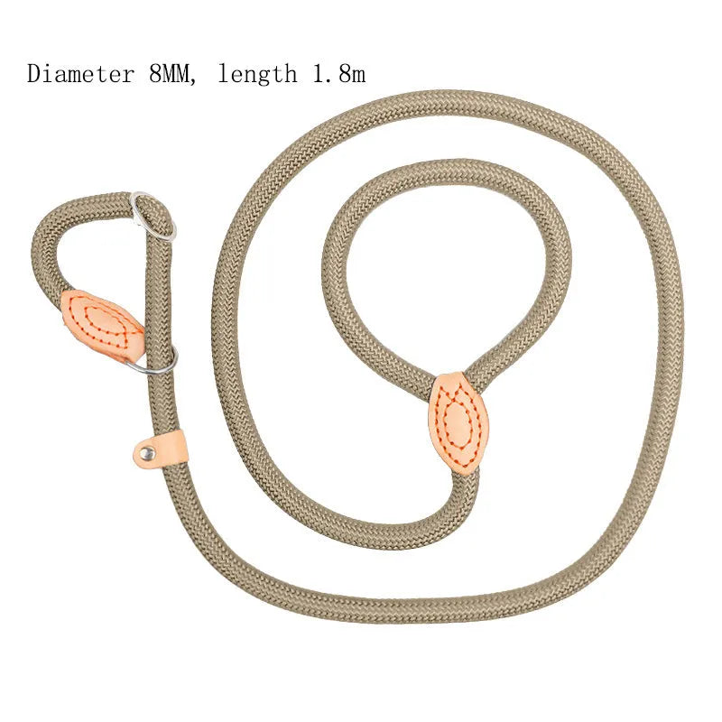 Blast race training dog leash and padded collar set in multiple colours