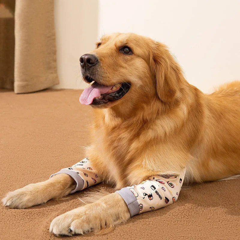 Blue dog knee brace with elbow padding and matching scarf shown on medium-sized dog