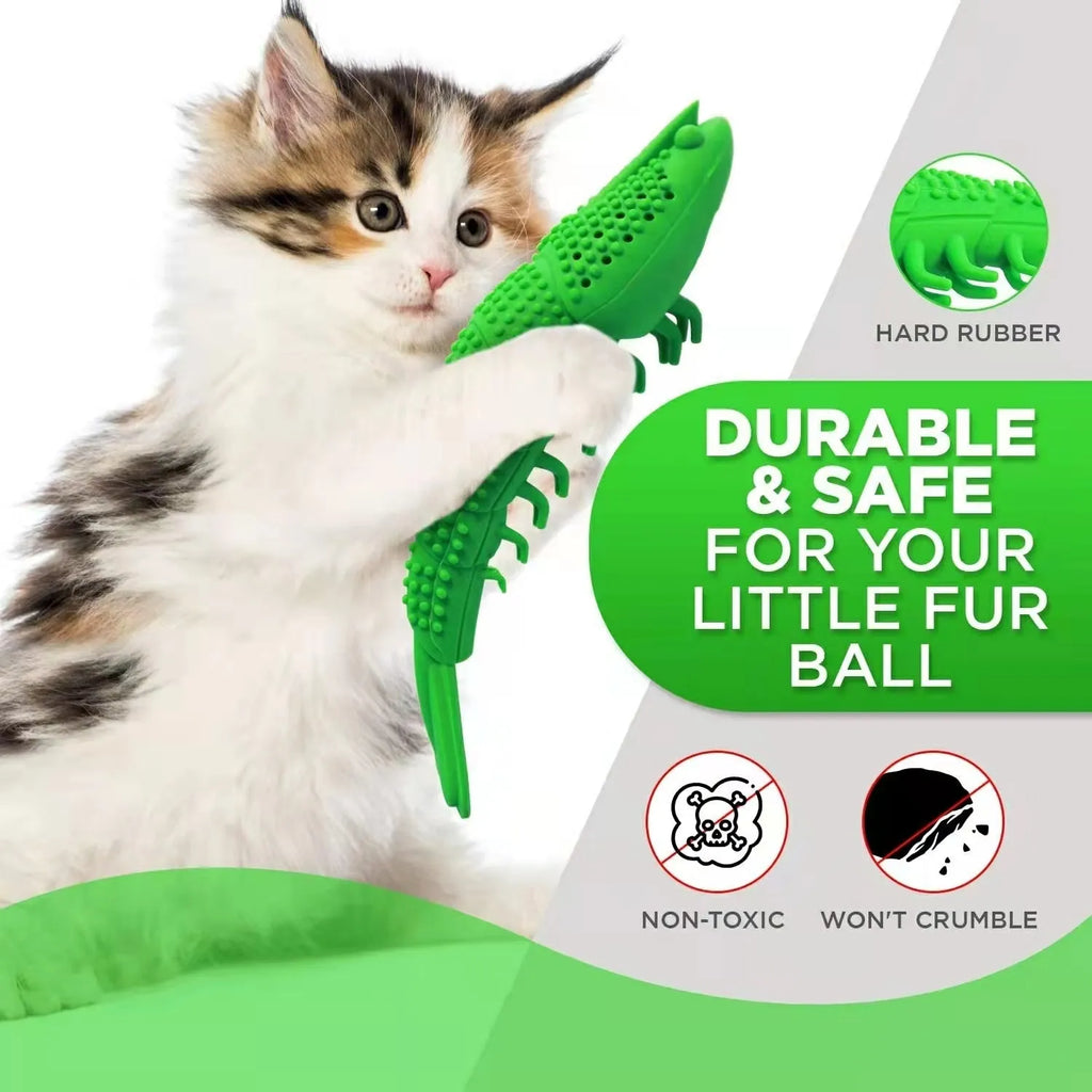 Blue hard rubber cat toy with textured brush surface for teeth cleaning, containing catnip and bell inside