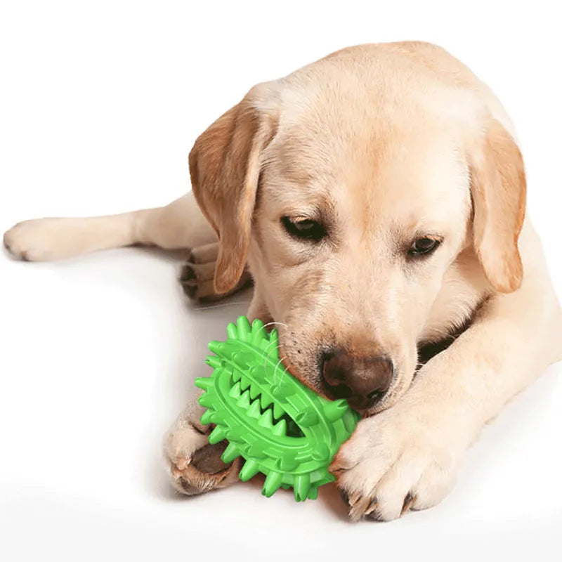 Green or yellow cactus-shaped dog chew toy for dental care, made from durable rubber.