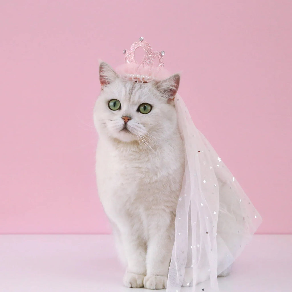 Pet princess crown headdress for cats with lace-trimmed veil in beige or pink colour options