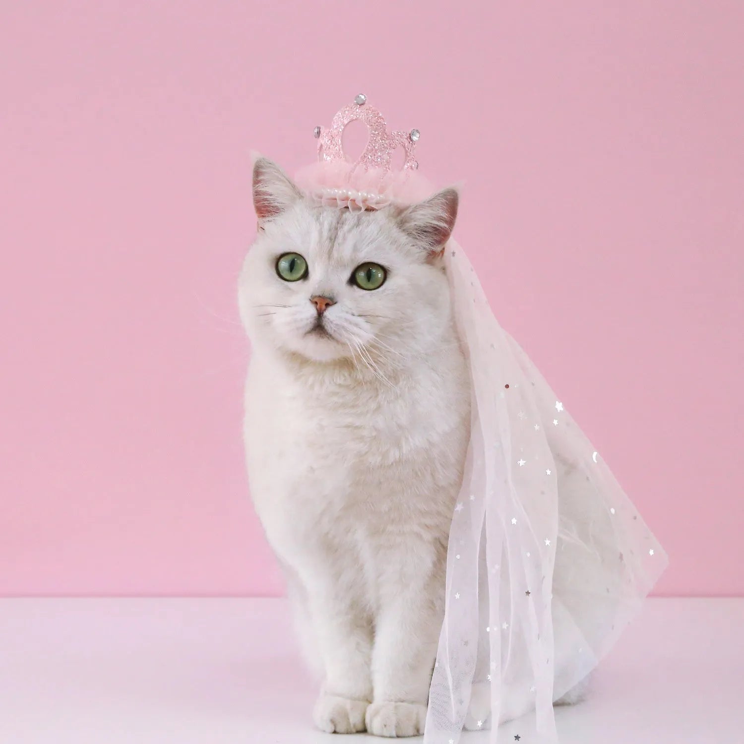 Pet princess crown headdress for cats with lace-trimmed veil in beige or pink colour options