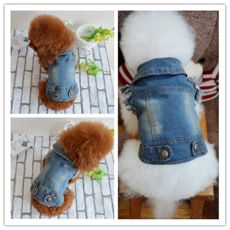 Retro scratch pattern denim dog vest on a model dog, showing dark wash colour and European style cut.