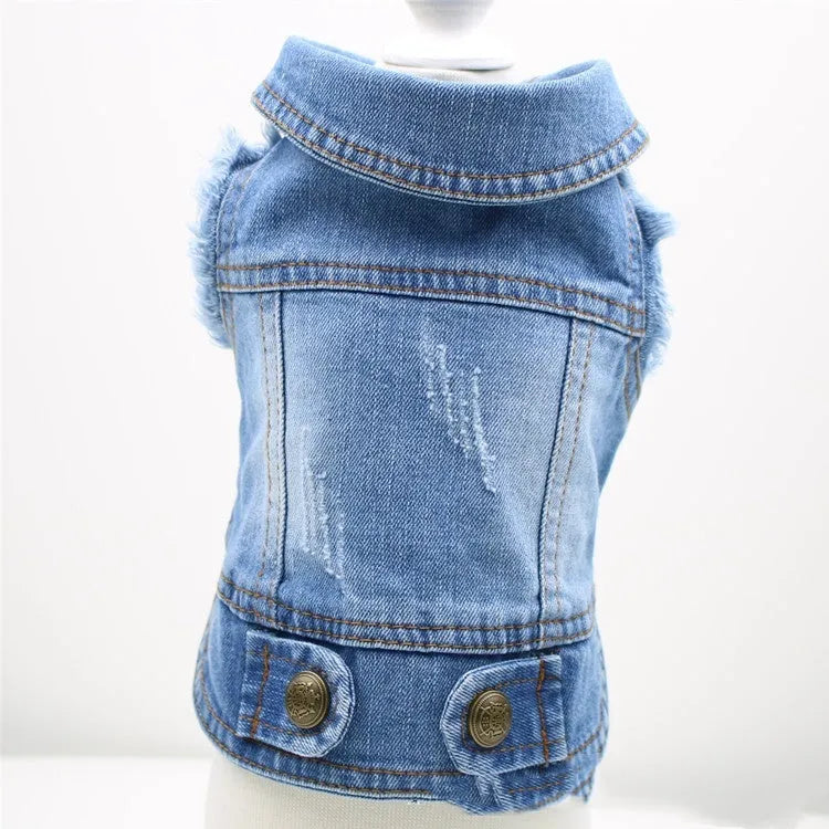 Retro scratch pattern denim dog vest on a model dog, showing dark wash colour and European style cut.
