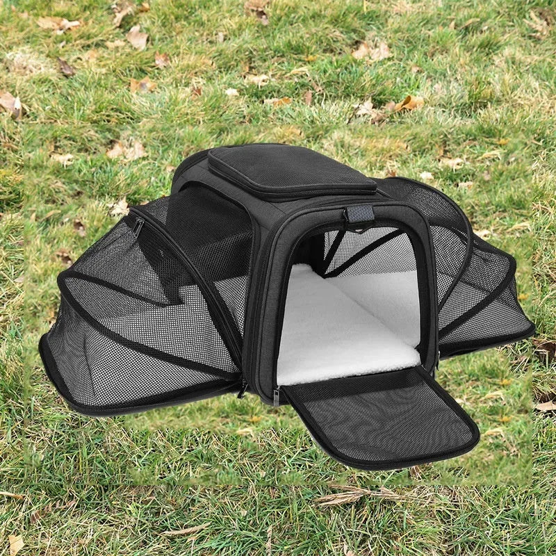A cat carrier bag made from 600D cation fabric in a solid colour, shown in small and large size options.