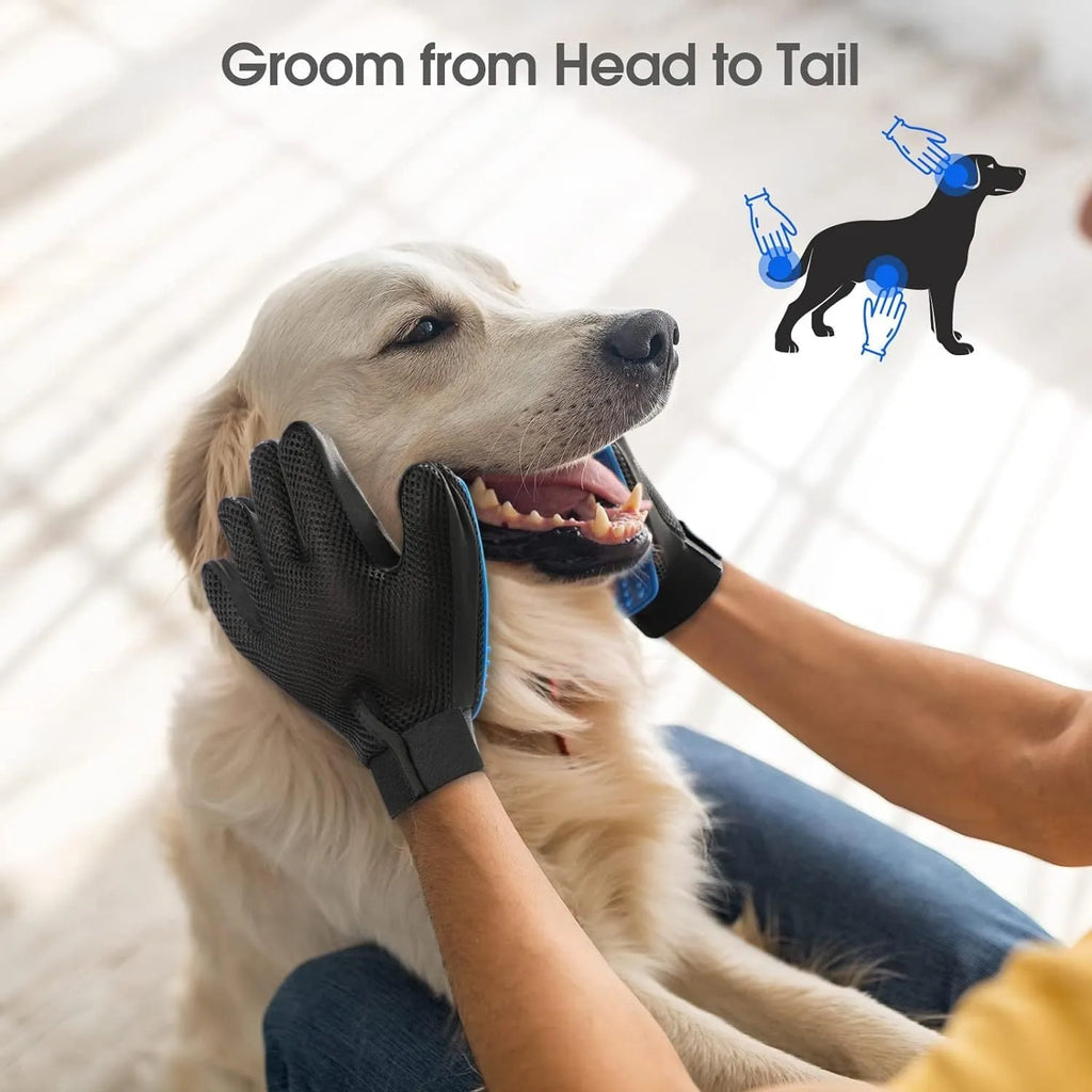 Blue pet grooming gloves with silicone tips for dog and cat hair removal and massage