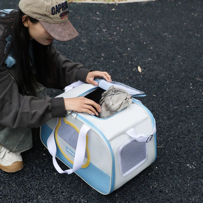 Outdoor portable foldable cat school bag in Oxford cloth with multiple colour options