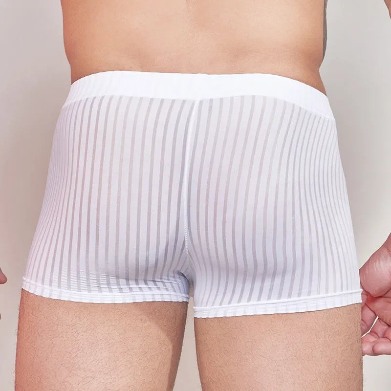 Men's striped underwear in thin transparent nylon fabric, shown in black, dark grey, and white colours.