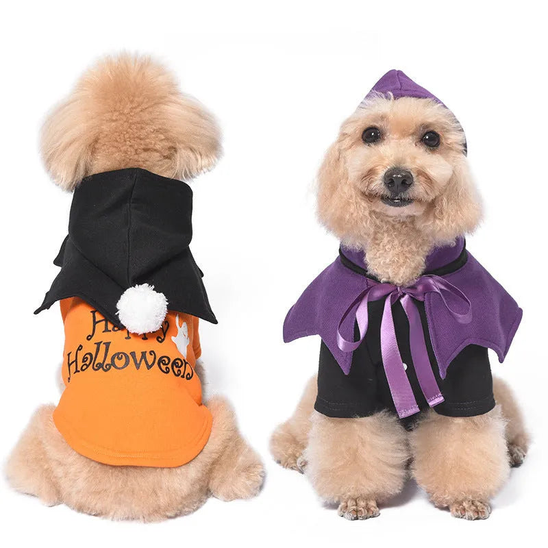 Halloween pumpkin costume on dog showing black and orange cotton sweater with matching shawl